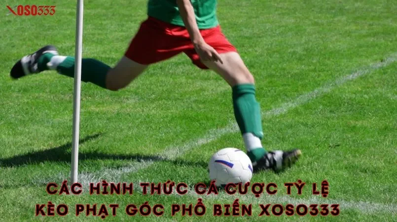 Nắm bắt tỷ lệ kèo phạt góc chuẩn xác trúng đậm cùng Xoso333 2 Các hình thức cá cược tỷ lệ kèo phạt góc phổ biến xoso333