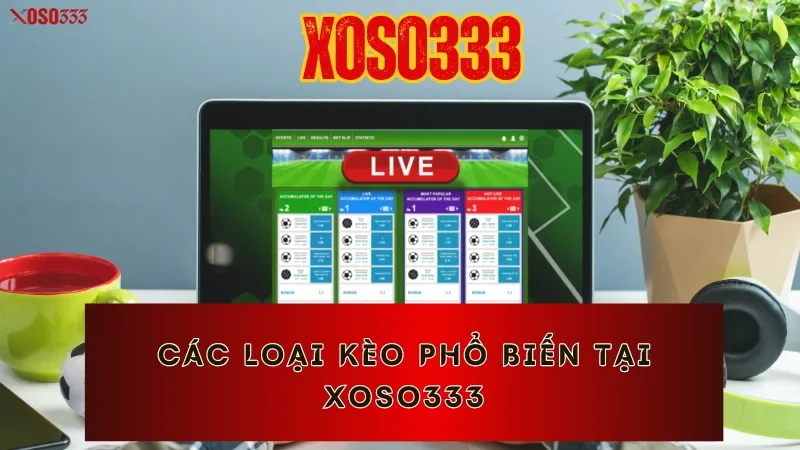 Cập Nhật Kèo Nhà Cái Xoso333 Mới Nhất - Cơ Hội Thắng Lớn 2 Các loại kèo phổ biến tại Xoso333