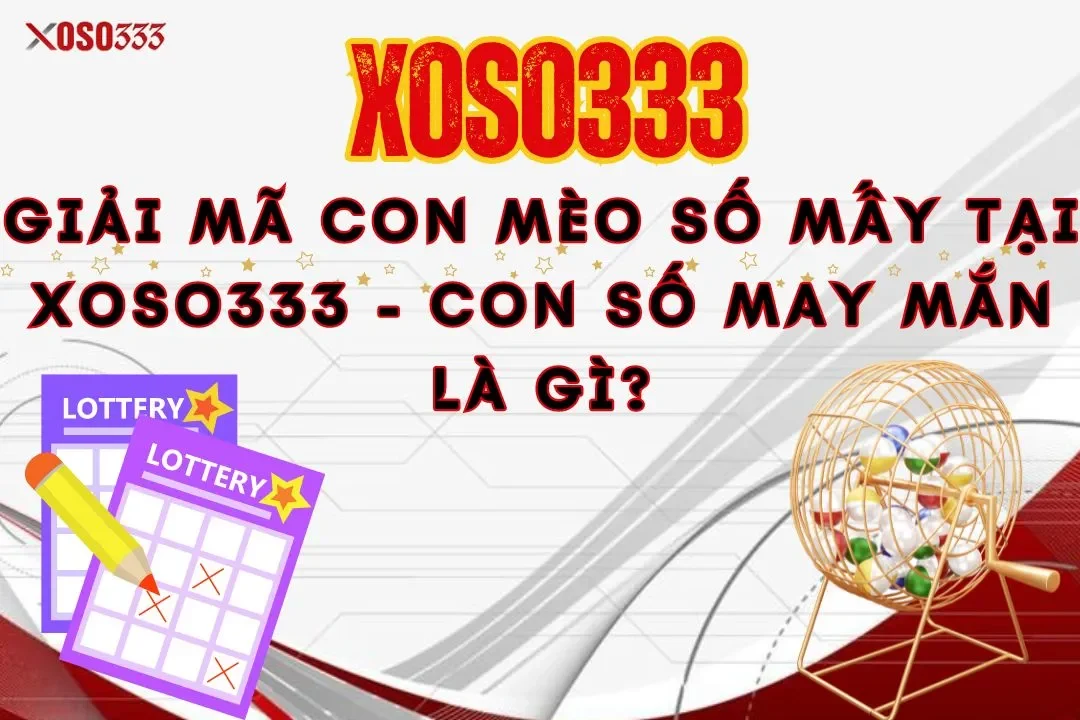 Giải mã con mèo số mấy tại xoso333 - Con số may mắn là gì? 11 Giải mã con mèo số mấy tại xoso333 – Con số may mắn là gì?