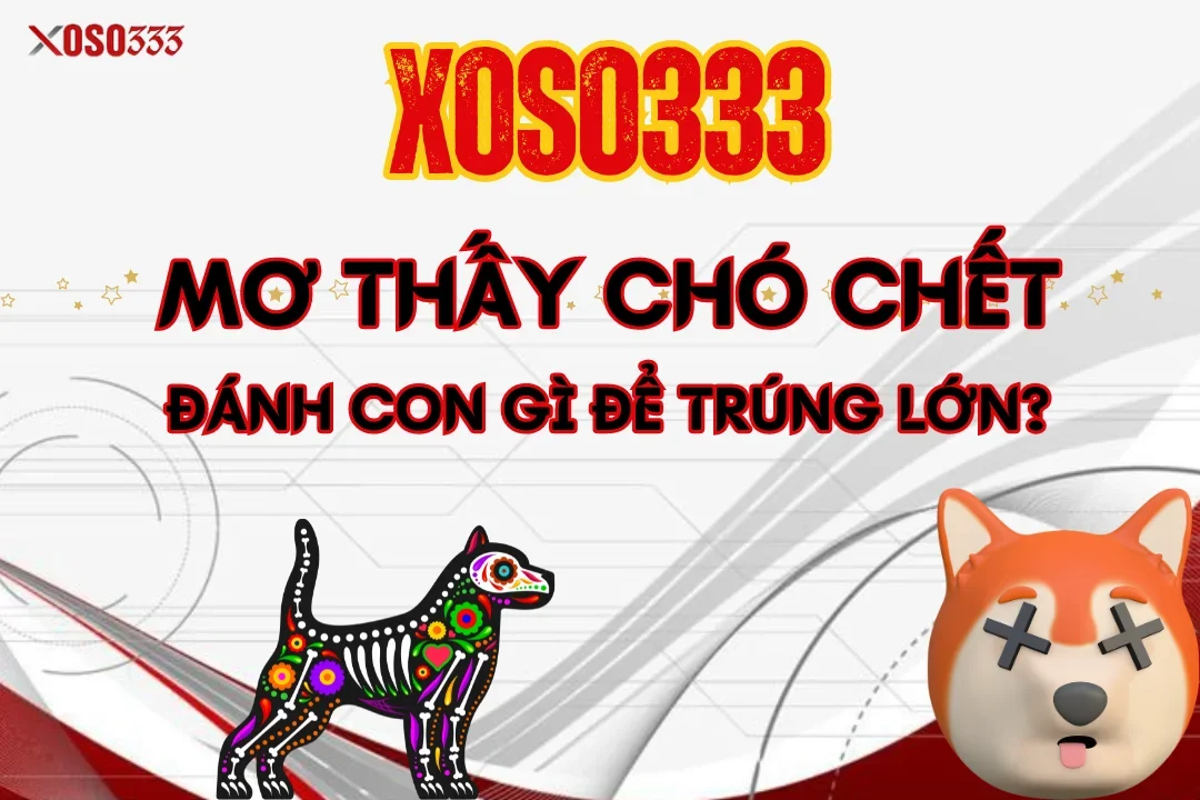 Xoso333 Giải mã mơ thấy chó chết - Đánh con gì để trúng lớn? 7 Xoso333 Giải mã mơ thấy chó chết – Đánh con gì để trúng lớn?