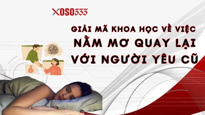 Xoso333 Giải Mã Nằm Mơ Quay Lại Với Người Yêu Cũ Điềm Gì 2 Giải mã khoa học về việc nằm mơ quay lại với người yêu cũ