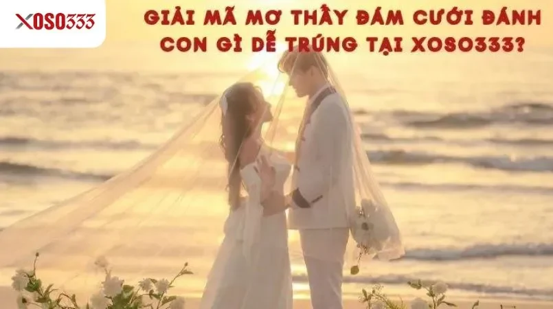Mơ thấy đám cưới giải mã cùng Xoso333 điềm lành hay biến cố 3 Giải mã mơ thấy đám cưới đánh con gì dễ trúng tại xoso333?