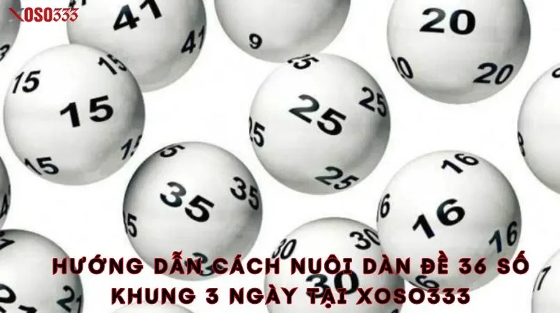 Nuôi dàn đề 36 số khung 3 ngày xoso333 - Chiến thắng nhanh 3 Hướng dẫn cách nuôi dàn đề 36 số khung 3 ngày tại xoso333