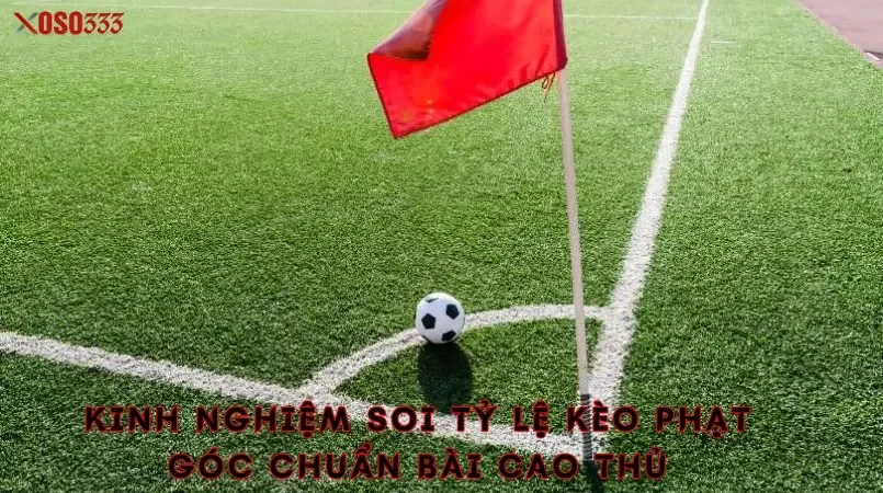 Nắm bắt tỷ lệ kèo phạt góc chuẩn xác trúng đậm cùng Xoso333 3 Kinh nghiệm soi tỷ lệ kèo phạt góc chuẩn bài cao thủ