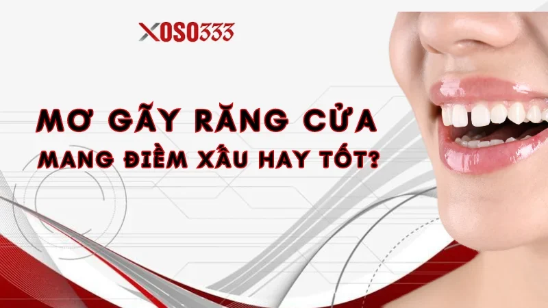 Ngủ Nằm Mơ Gãy Răng Cửa Điềm Gì? Con Lô Cụ Thể Xoso333 2 Nằm mơ gãy răng cửa mang đến cho bạn điềm xấu hay tốt?