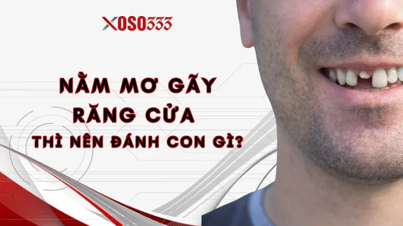 Ngủ Nằm Mơ Gãy Răng Cửa Điềm Gì? Con Lô Cụ Thể Xoso333 3 Nằm mơ gãy răng cửa thì nên đánh con gì nhận thưởng?