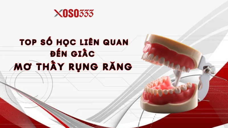 Nằm mơ thấy rụng răng là điềm gì? Giải đáp số mơ chuẩn 2024 4 Top số học liên quan đến giấc mơ thấy rụng răng cực chuẩn