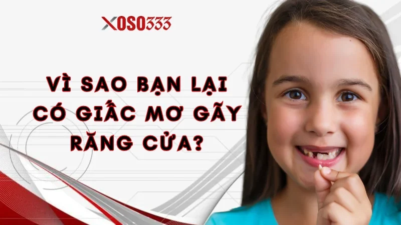 Ngủ Nằm Mơ Gãy Răng Cửa Điềm Gì? Con Lô Cụ Thể Xoso333 1 Vì sao bạn lại có giấc mơ gãy răng cửa?